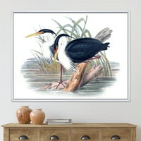 Дизајн на „Антички птичји животи ii“ Традиционална врамена платна wallидна уметност печатење