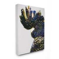 Студената индустрија Папагал портрет сино жолто точки со пердуви од пердуви платно wallидна уметност дизајн од урбан пат, 24