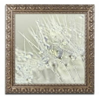 Трговска марка ликовна уметност 'Глуварчето роса III' платно уметност од Кора Ниле, златна украсна рамка